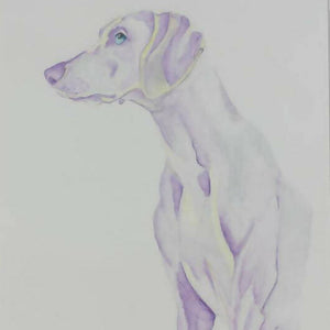 Oakes Art - "Purple Reign" Dog Portrait, Wall Art, Oakes Art, Atrium 916 - Sacramento.Shop