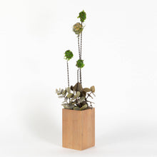 Load image into Gallery viewer, Marry Contrary Design &amp; Decor - Mossy Meadow Centerpiece (small), Home Decor, Marry Contrary Design &amp; Decor, Sacramento . Shop
