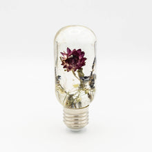 Load image into Gallery viewer, Awkwood Things - Decorative Light w/ Preserved Flowers, Home Decor, Awkwood Things, Sacramento . Shop
