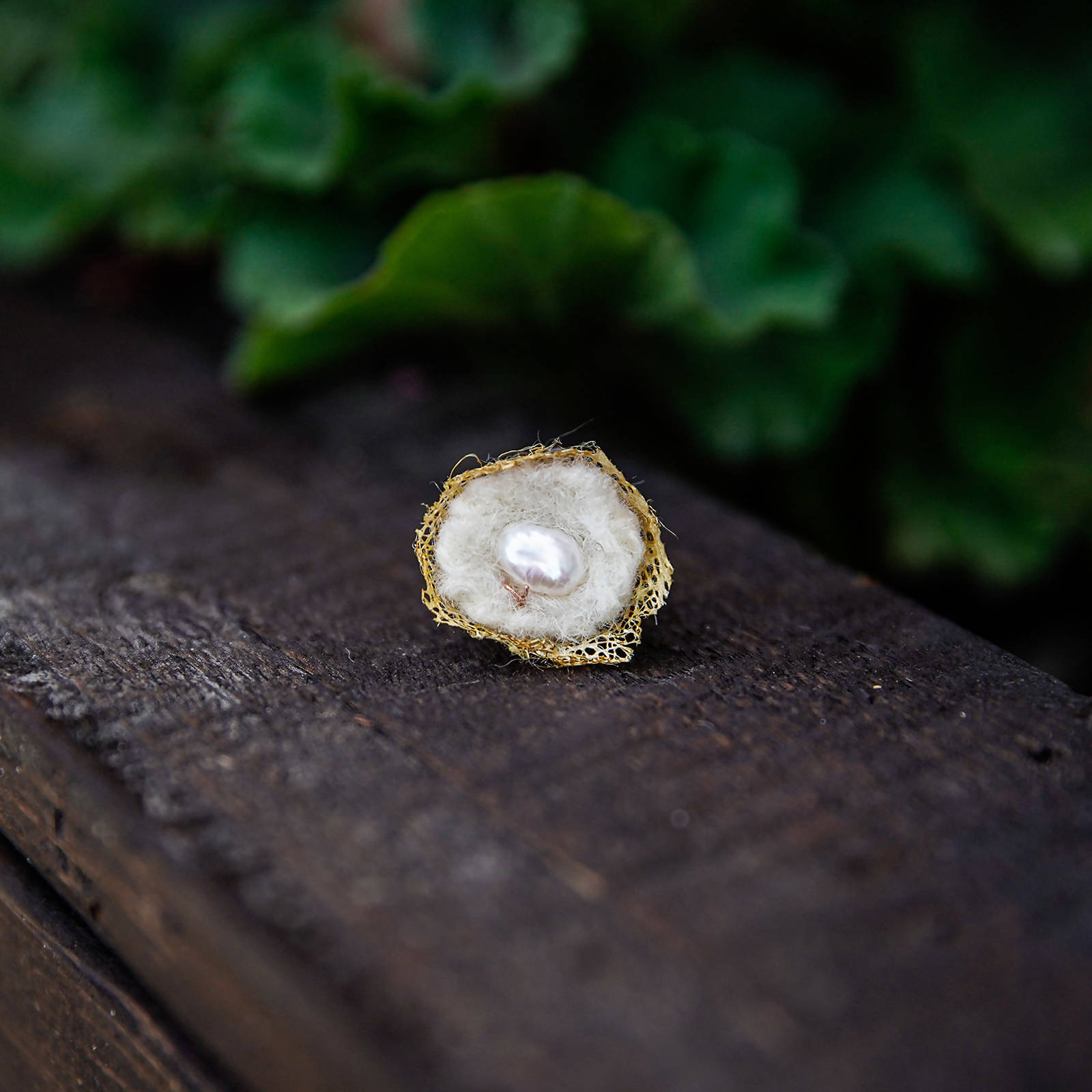 succulent sirens Succulent Sirens- Freshwater Pearl Nest Ring– Atrium 916