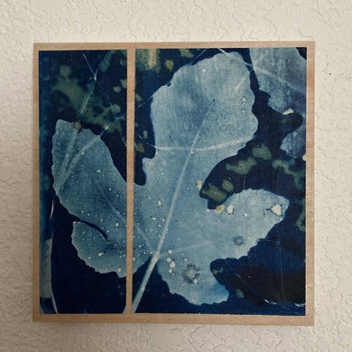 Pamela Herlihy - Fig Leaf, Wall Art, Pamela Herlihy Art, Atrium 916 - Sacramento.Shop